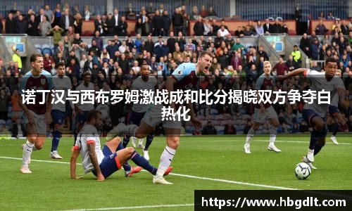 诺丁汉与西布罗姆激战成和比分揭晓双方争夺白热化